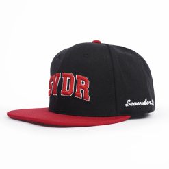 Alternative view of SVDR - Black