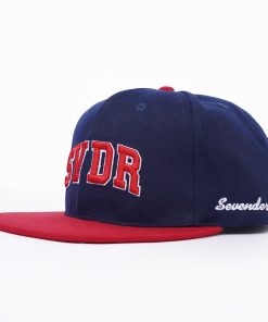 Alternative view of SVDR - Navy