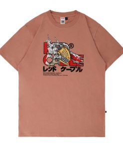 Alternative view of Larson - Salmon