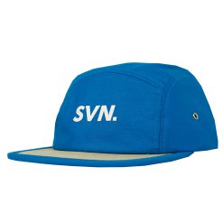 Alternative view of SVN - Blue